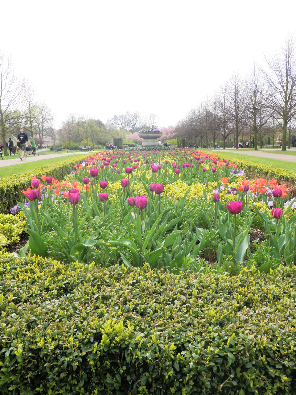 Regent’s Park Flowers