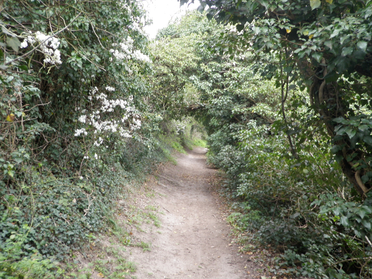 Walking Trail