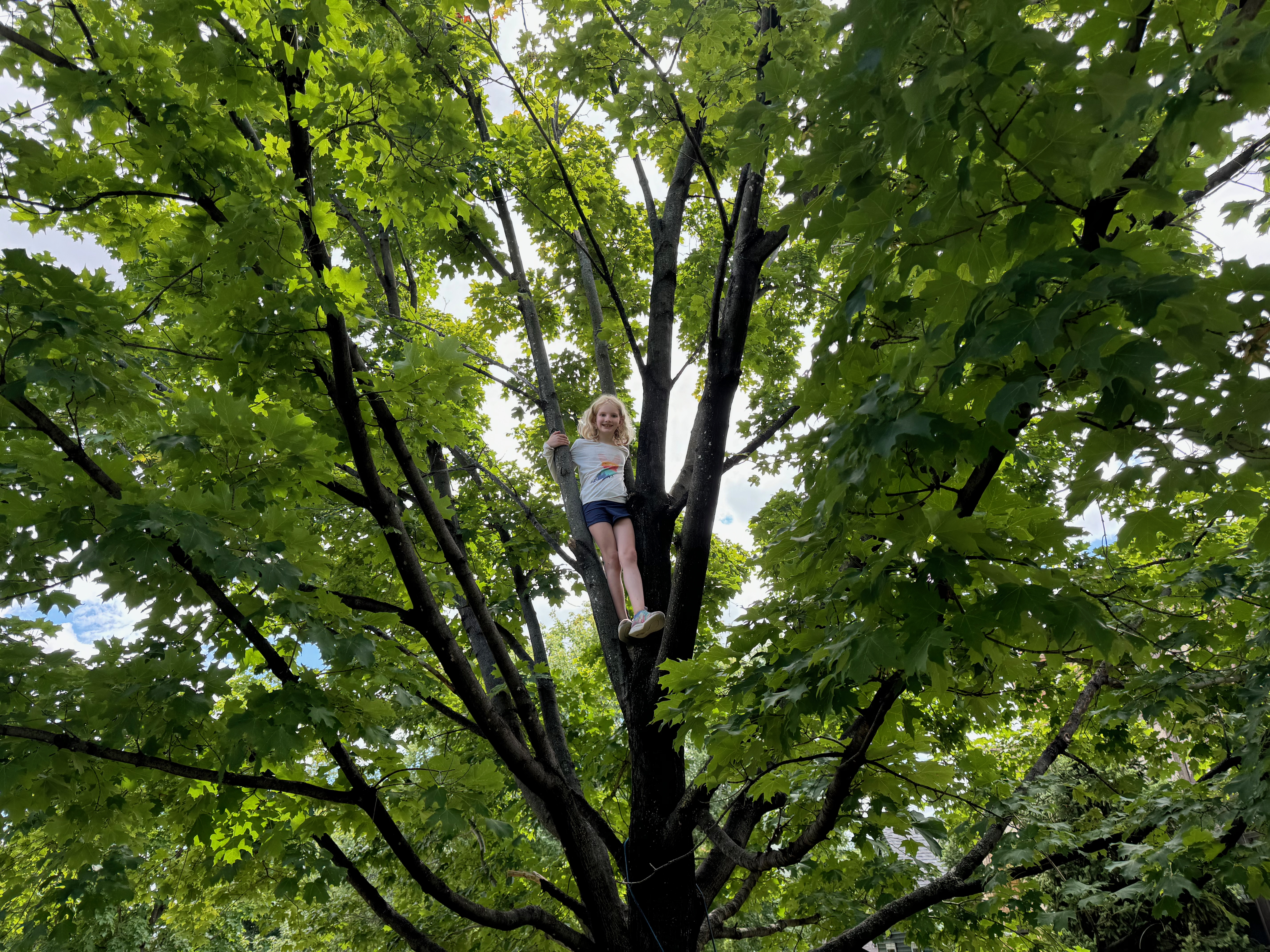 Imogene up a Tree