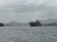 There were a lot of really big ships we went by on Gatun Lake.